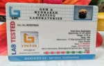 11 Mukhi Certificate