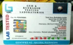 11 Mukhi Certificate