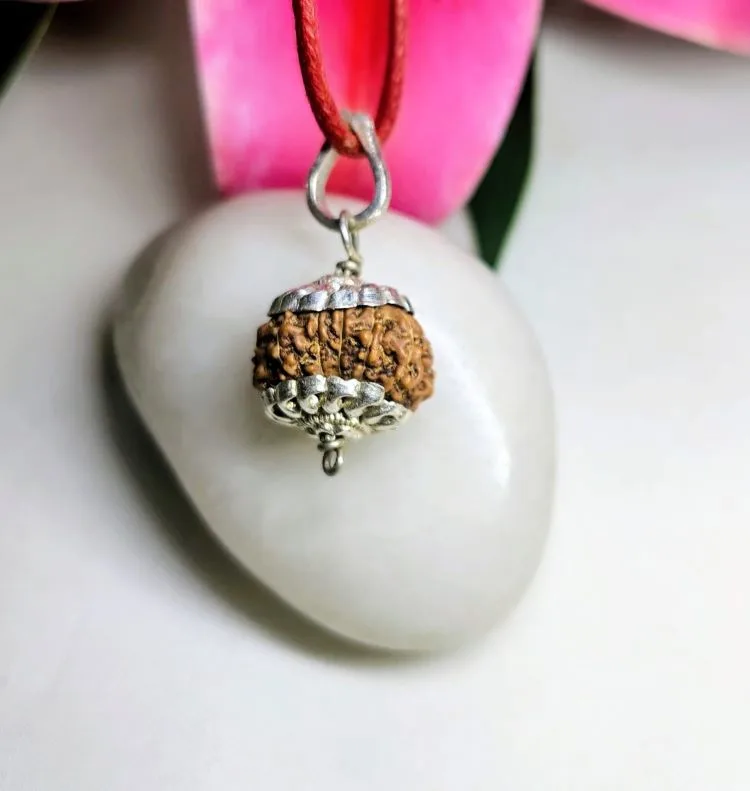 11 Mukhi Rudraksha