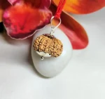 11 Mukhi Rudraksha