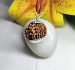 11 Mukhi Rudraksha