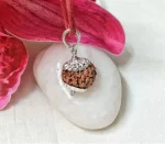 11 Mukhi Rudraksha