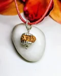 11 Mukhi Rudraksha