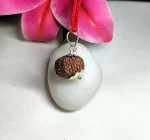11 Mukhi Rudraksha