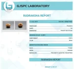 11 Mukhi Certificate