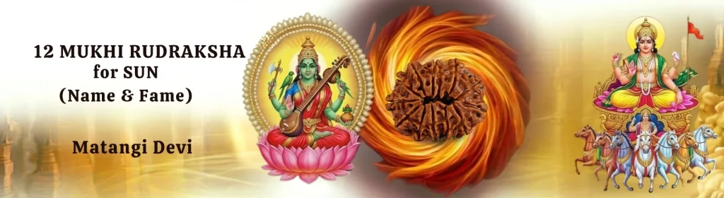 12 MUKHI RUDRAKSHA banner