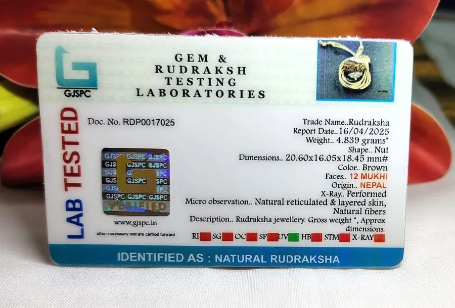 12 Mukhi Certificate