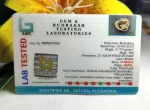 12 Mukhi Certificate