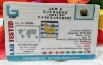 12 Mukhi Certificate