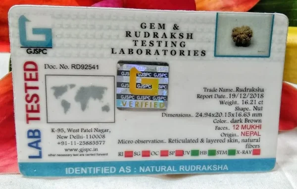 12 Mukhi Certificate