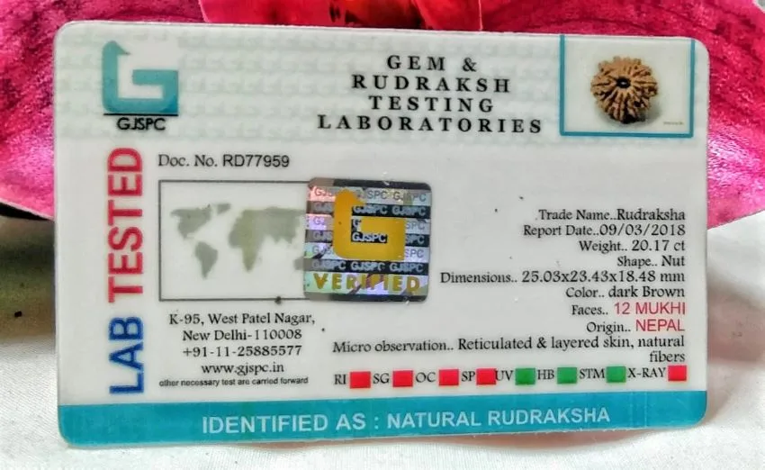 12 Mukhi Certificate