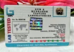 12 Mukhi Certificate
