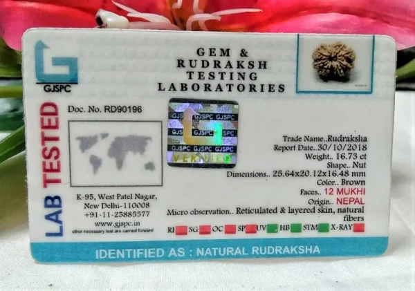 12 Mukhi Certificate
