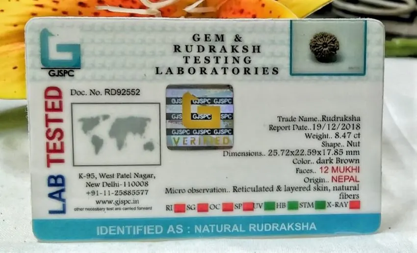 12 Mukhi Certificate