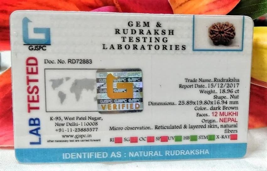 12 Mukhi Certificate