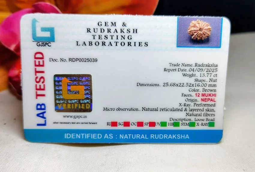 12 Mukhi Certificate