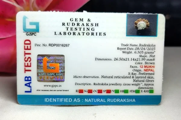 12 Mukhi Certificate