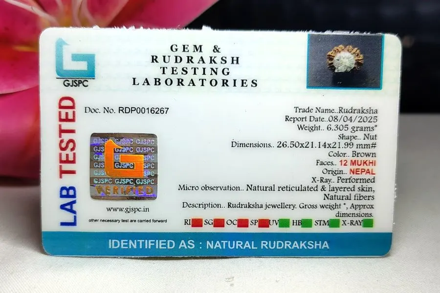 12 Mukhi Certificate