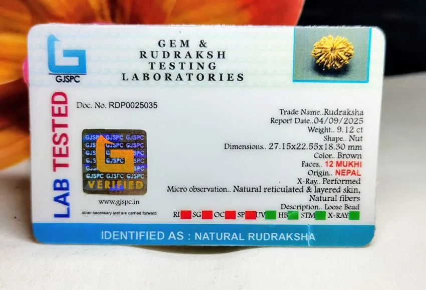 12 Mukhi Certificate