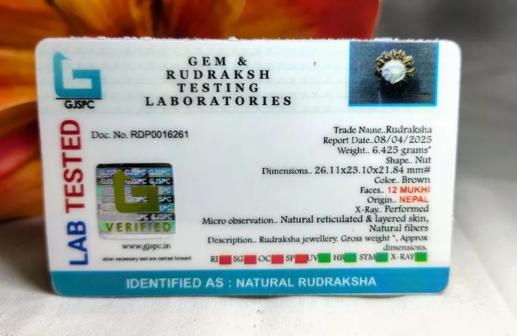 12 Mukhi Certificate