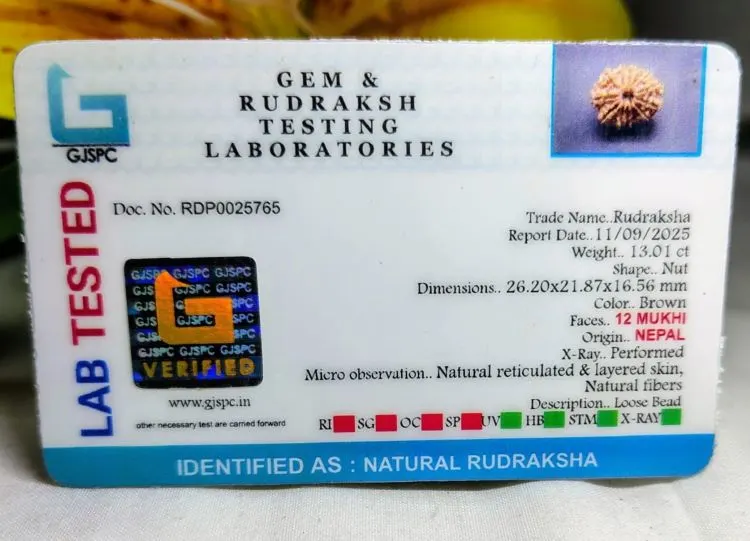 12 Mukhi Certificate