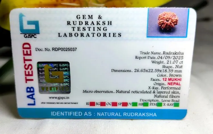 12 Mukhi Certificate