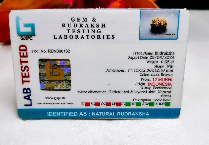 12 Mukhi Certificate