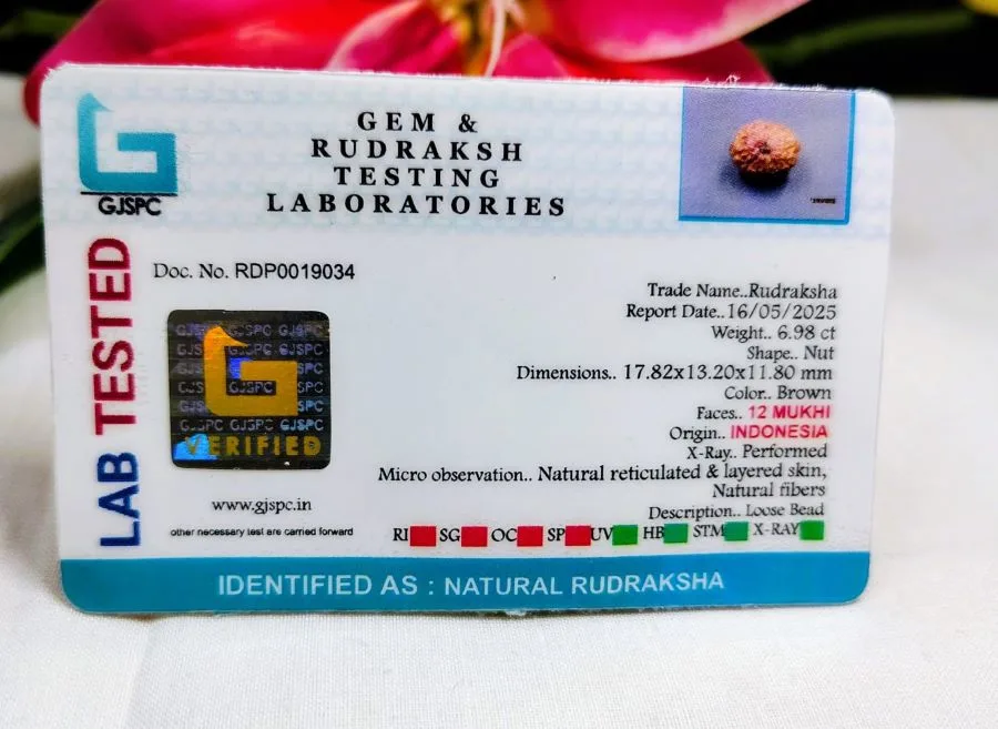 12 Mukhi Certificate