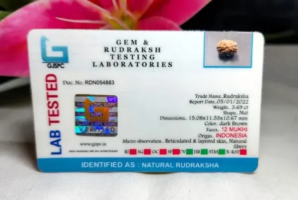 12 Mukhi Certificate
