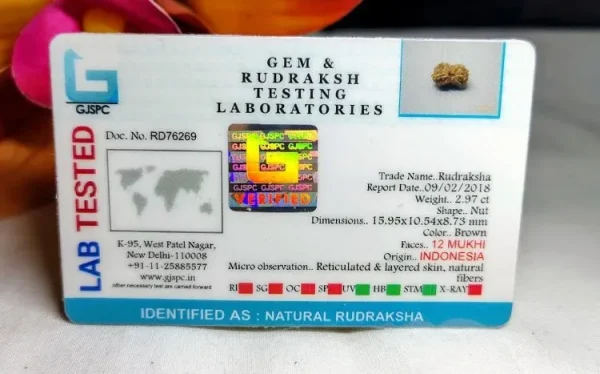 12 Mukhi Certificate