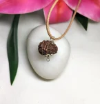 12 Mukhi Rudraksha