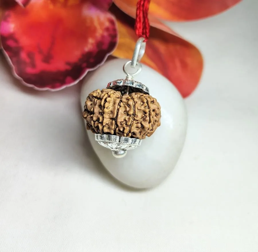 12 Mukhi Rudraksha