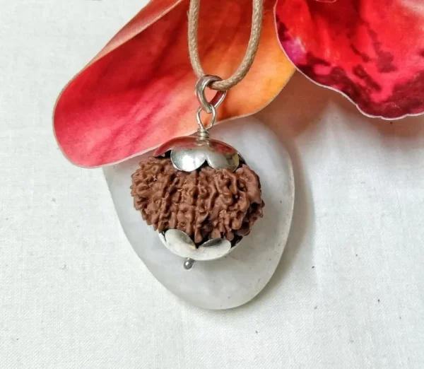 12 Mukhi Rudraksha