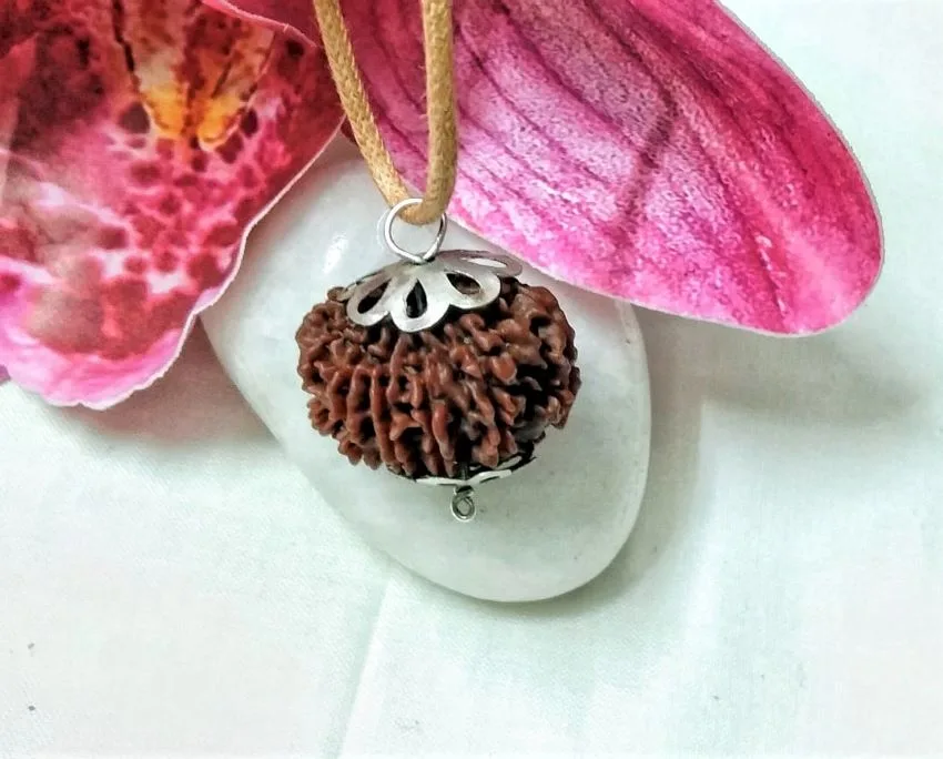 12 Mukhi Rudraksha