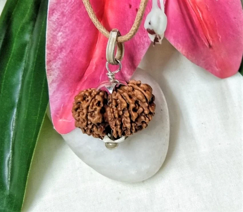 12 Mukhi Rudraksha