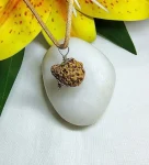 12 Mukhi Certificate