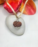12 Mukhi Rudraksha