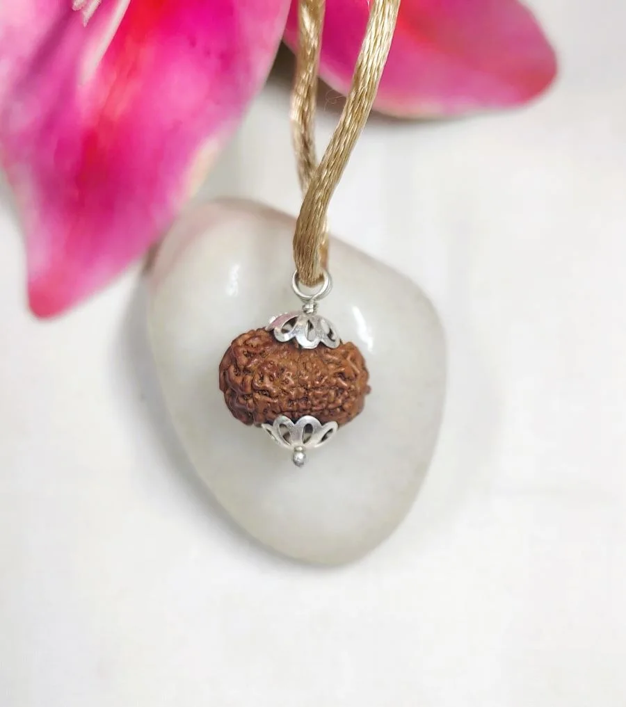 12 Mukhi Rudraksha