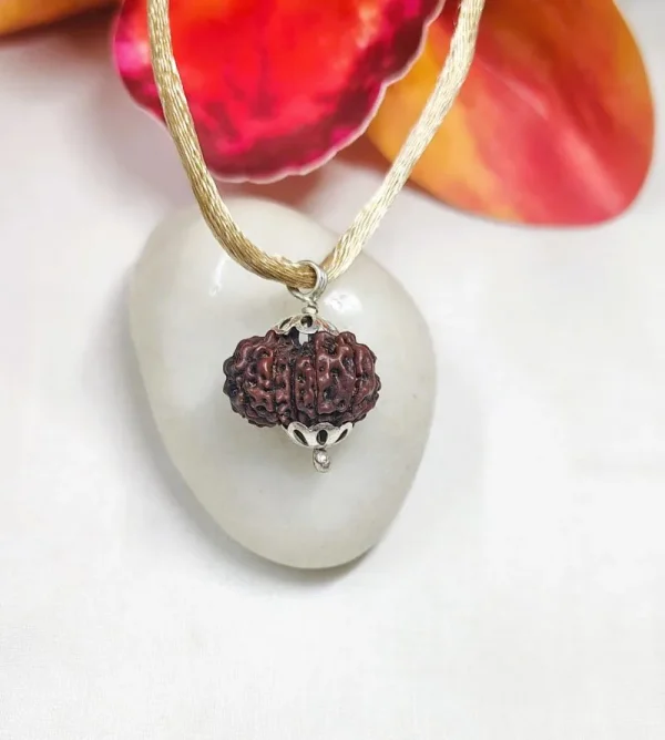 12 Mukhi Rudraksha
