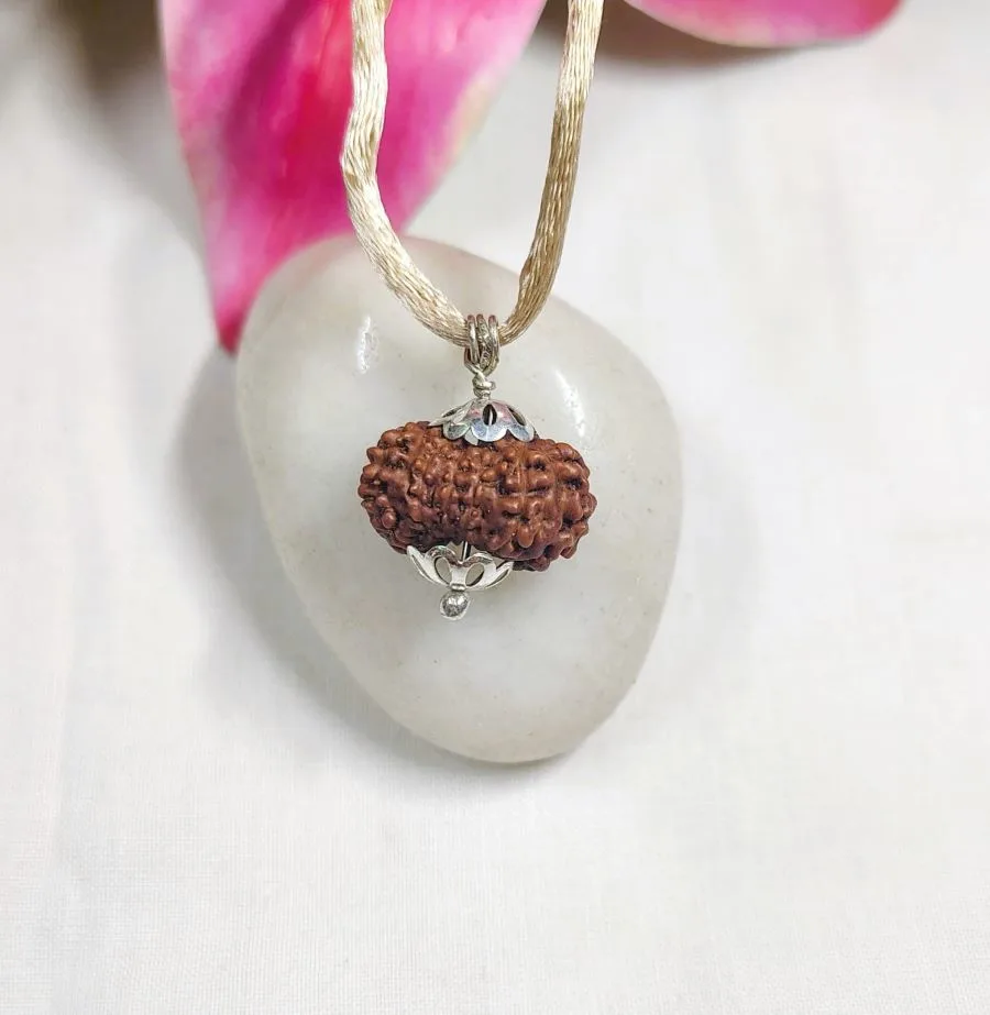 12 Mukhi Rudraksha