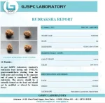 12 Mukhi Certificate