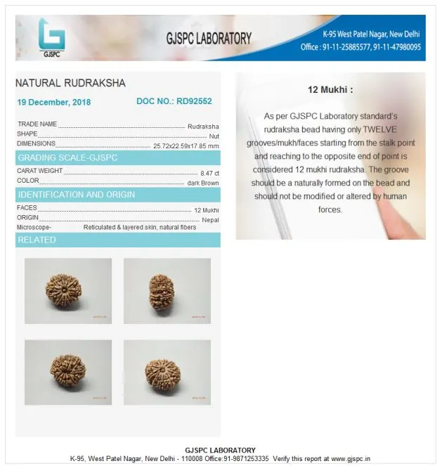 12 Mukhi Certificate