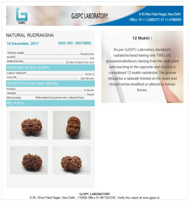 12 Mukhi Certificate