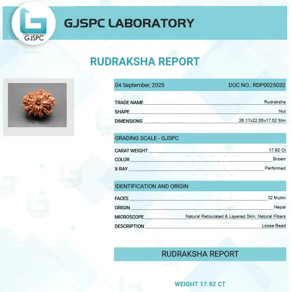12 Mukhi Certificate
