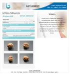 12 Mukhi Certificate