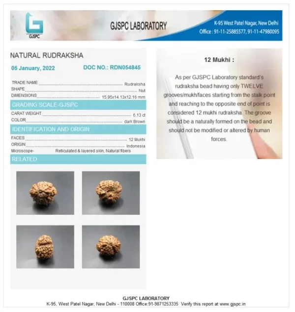 12 Mukhi Certificate