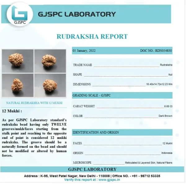 12 Mukhi Certificate