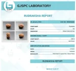 12 Mukhi Certificate