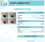 12 Mukhi Certificate