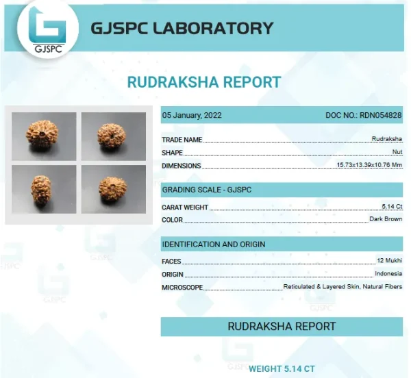 12 Mukhi Certificate